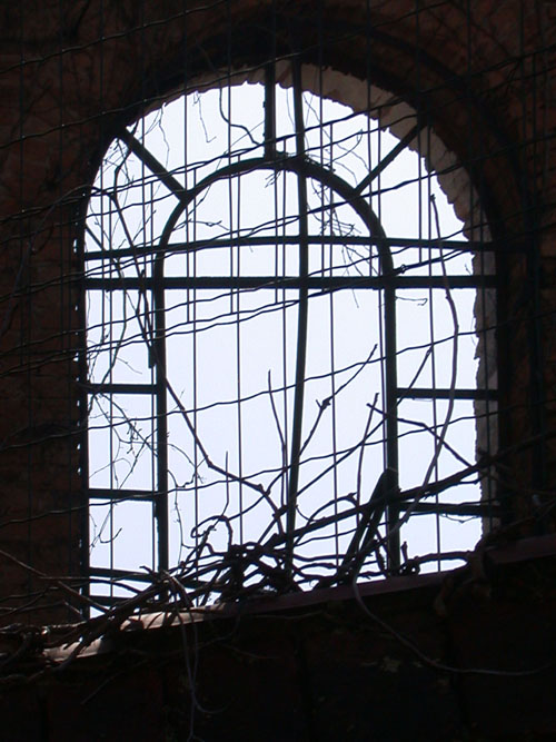Click to return to the dynamic window display