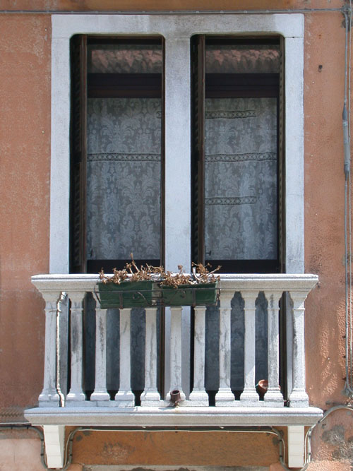 Click to return to the dynamic window display