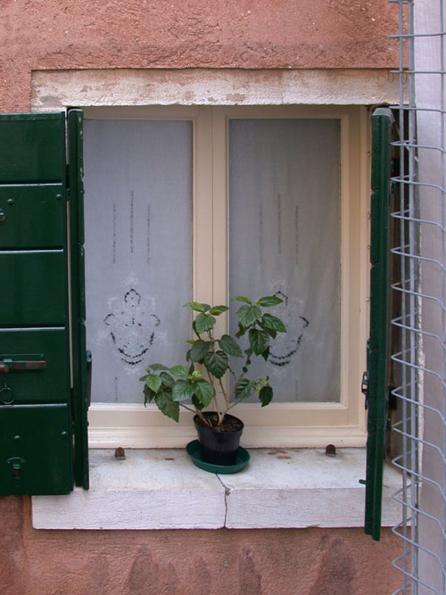 Venetian Window Loading, please wait (it's worth it!) ...
