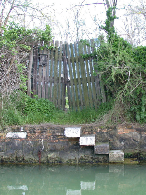 Click to return to the dynamic window display