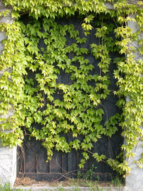 Venetian Window Loading, please wait (it's worth it!) ...