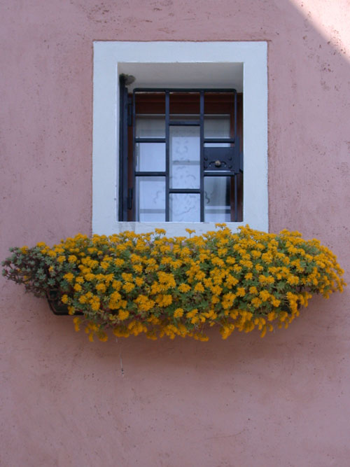Click to return to the dynamic window display